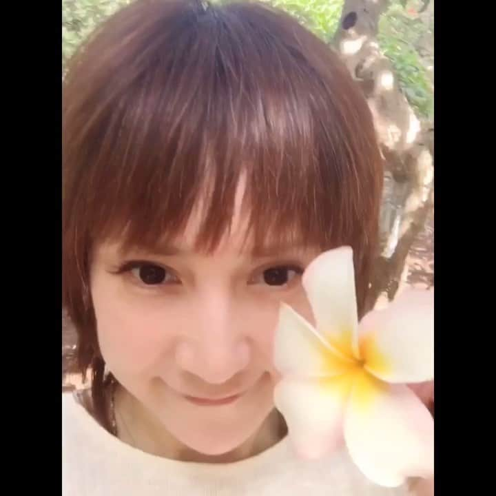 鈴木蘭々のインスタグラム