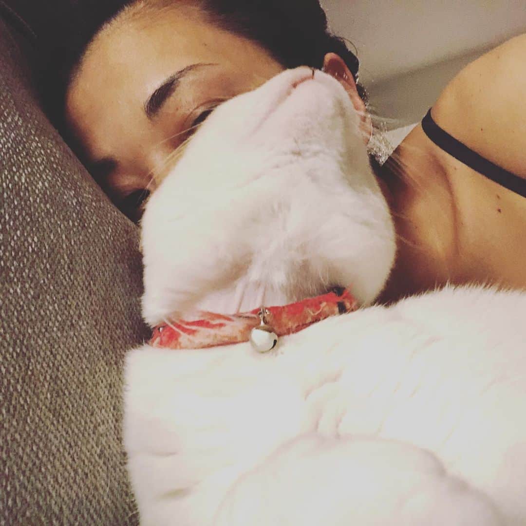 池田有希子のインスタグラム：「可愛いツーショットを撮ろうとしたのにシャッター押した途端、ックーーンってされた。  #catstagram」