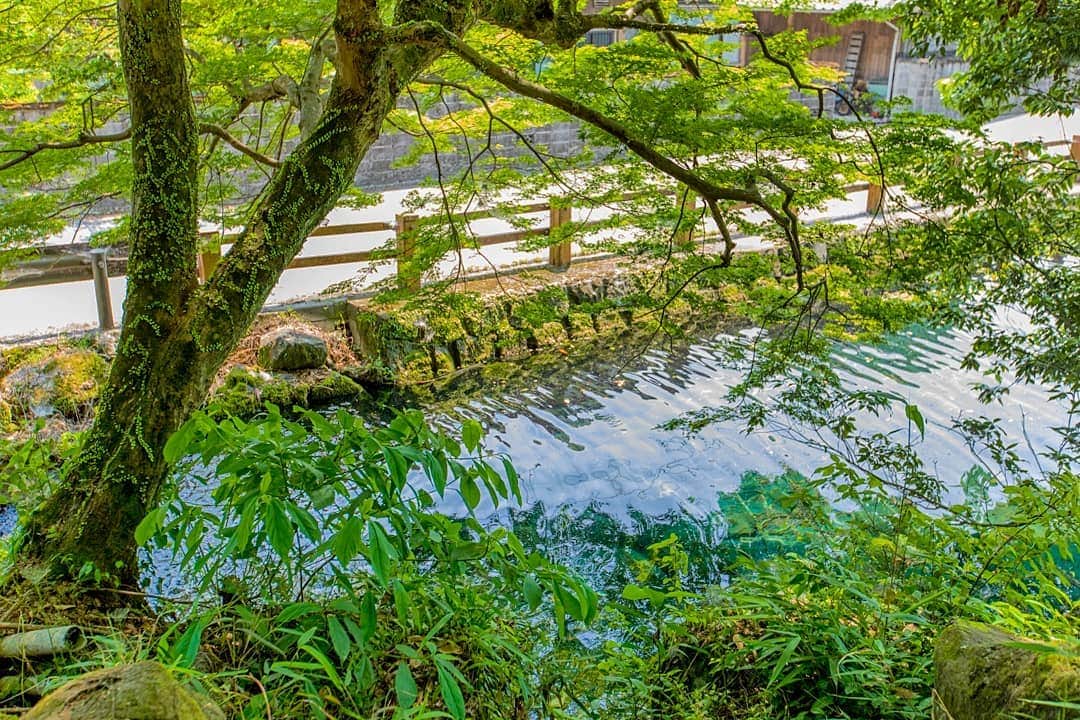 鹿児島よかもん再発見のグルメインスタ