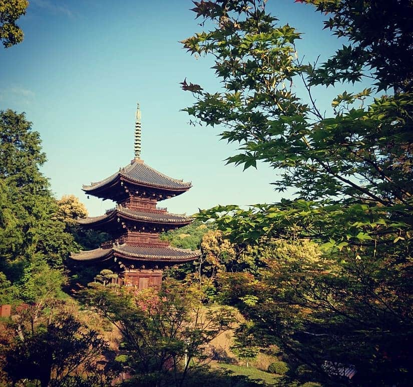 和田益典のインスタグラム