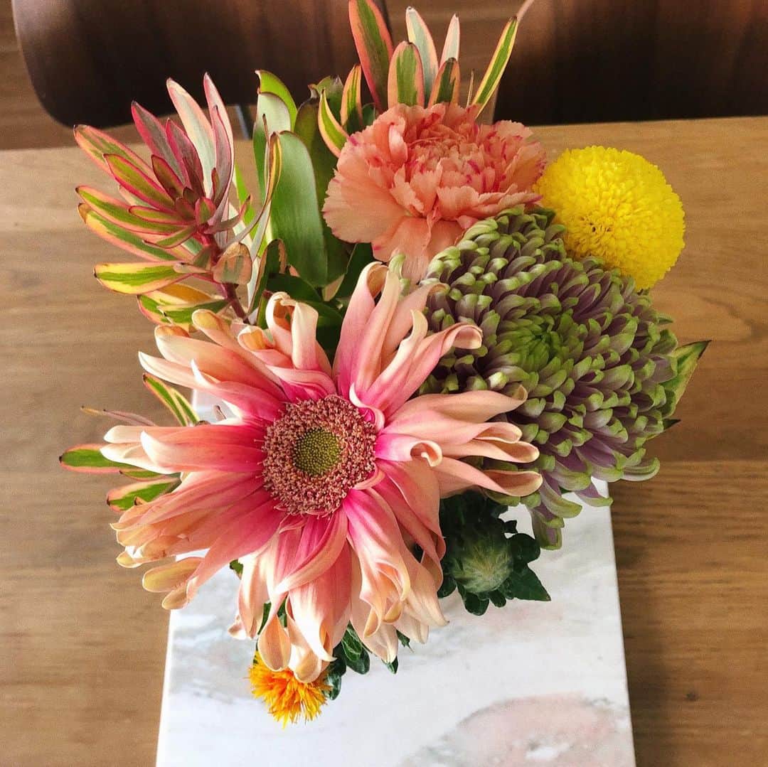 瀬戸あゆみさんのインスタグラム写真 - (瀬戸あゆみInstagram)「Colorful Sunday with @xxxrioxxxx 🍊🍋🥬🍅🌿💗 りおちゃんと久しぶりに。 日曜日の青山付近を満喫しました。 ファーマーズマーケットではお花を買ったよ💐 #sunday」5月28日 21時56分 - setoayumi