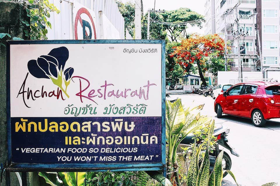 瀬戸晴加さんのインスタグラム写真 - (瀬戸晴加Instagram)「チェンマイのオススメレストランの１つ、Anchan Vegetarian Restaurant 🇹🇭❤️ どのメニューを頼んでも野菜がゴロゴロ入っていて、美味しさも食べ応えもバッチリなタイ料理屋さん。今日はチェンマイに来てくれているフォロワーの滝田ちゃんと一緒にランチで行ってきました🤤 パッタイもマッシュルーム炒めも美味しくて毎回頼んでしまうメニュー。パッタイ上手に作れるようになりたいなーー🔥今度作ってみよう👨‍🍳#thailand #chiangmai #thaifood #lunch #yummy #summer #travel #trip#favorite #タイ #チェンマイ #タイ料理 #旅行 #旅 #女子旅 #せとはるinタイ」5月28日 22時00分 - setoharu1030