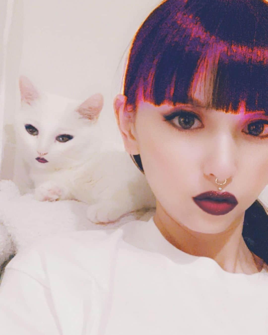 鈴木えみさんのインスタグラム写真 - (鈴木えみInstagram)「Swipe⏭ 猫にも反応するの知らなかった😂 セクシーダニョ🥺❤️」5月28日 22時01分 - emisuzuki_official