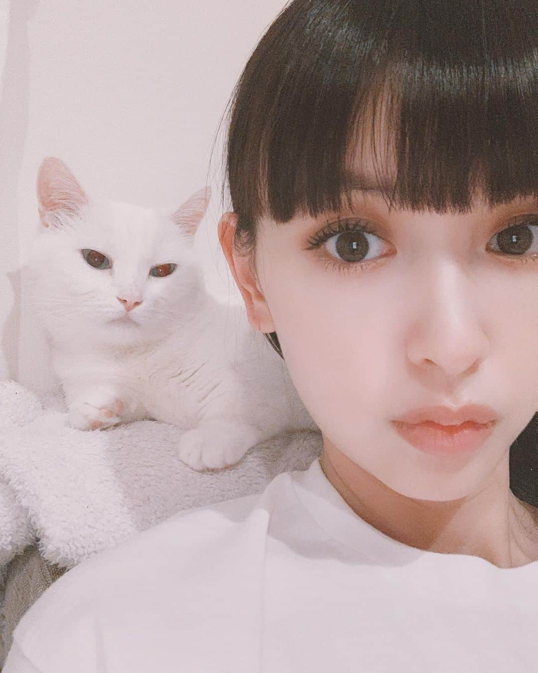 鈴木えみさんのインスタグラム写真 - (鈴木えみInstagram)「Swipe⏭ 猫にも反応するの知らなかった😂 セクシーダニョ🥺❤️」5月28日 22時01分 - emisuzuki_official