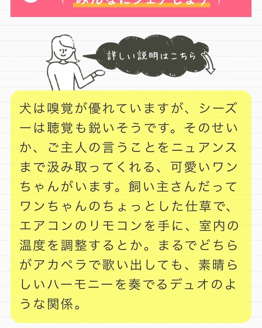 おかゆ & おもちさんのインスタグラム写真 - (おかゆ & おもちInstagram)「...🐶💓💁🏻‍♀️..・.🎵 . . 「うちのコ名コンビ診断」やってみました〜✨✨ . あいにく、選択する犬種にマルチーズはなかったんだけど、シーズーがあったので、まっいっか〜ってシーズーを選択して、いくつかの質問に答えたら...✨ . なんと！ おかゆとママは、素晴らしいハーモニーを奏でるデュオのような関係🎵やって〜〜😆👍 . . うん、うん、ハモってるよね✨🎵 . パパもおかゆも音痴で困るわ〜〜😩😅💦 . . . ❤︎ .  #maltese #malteseofinstagram #happydog #dogsmile #doglove #doglover #doglife #dogsofinstagram #dogstagram #instadog #lovedogs #ilovemydog #cutedog #west_dog_japan #dogoftheday #멍스타그램 #애견 #말티즈 . #okayusan #マルチーズ #マルチーズ好き #癒しわんこ #わんこ #大好き #pecoいぬ部 #pecotv #いぬすた #わんこは家族 #デュオ #ハーモニー」5月28日 22時23分 - okayuchan0421