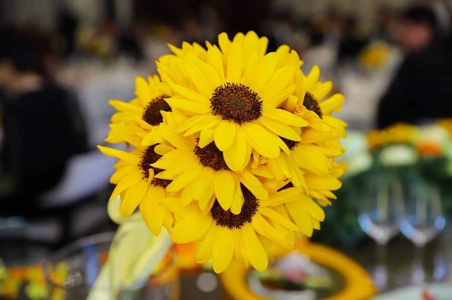 【公式】アルカンシエルリュクスマリアージュ名古屋のグルメインスタ