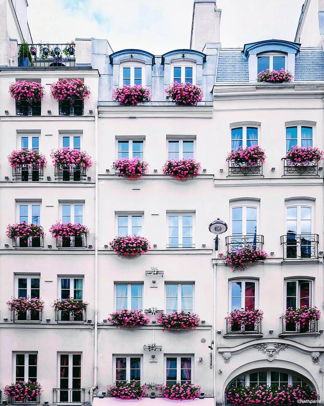 nathparisのインスタグラム：「🌸🌸🌸」