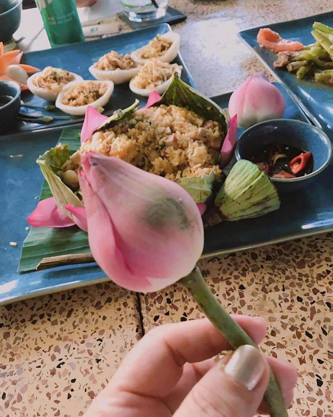 キャシー中島さんのインスタグラム写真 - (キャシー中島Instagram)「*﻿ ランチもやっぱり#ベトナム料理 ！﻿ #ドンコイ通り のそばにある、﻿ SHガーデンでいただきまーーす！﻿ ﻿ 蓮の葉でデコレーションされた﻿ 蓮の実のチャーハンがめちゃくちゃ美味しい！﻿ ﻿ #バインセオ﻿ #パパイヤのサラダ﻿ #チャージョー#揚げ春巻﻿ #蓮の実#蓮#lotas﻿ #キャシー中島#kathynakajima﻿ #キャシーマム#kathymom ﻿ #vietnam」5月28日 22時58分 - official_kathynakajima