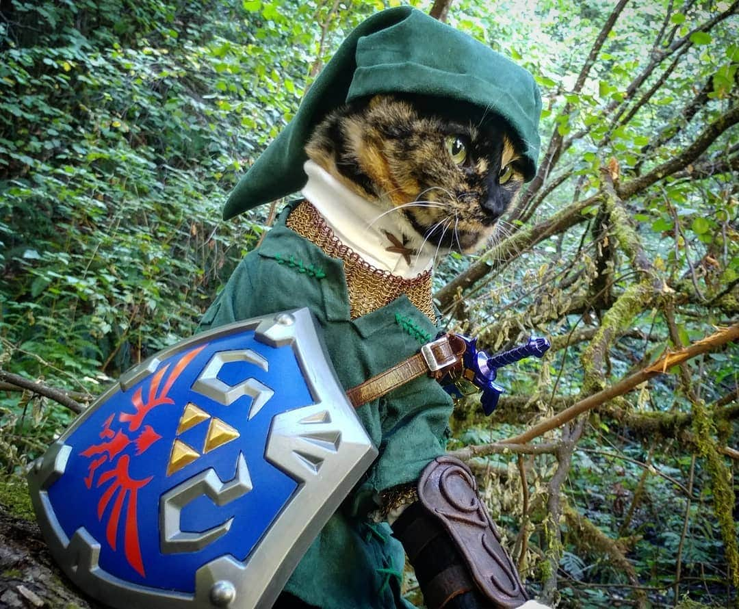 猫コスプレさんのインスタグラム写真 - (猫コスプレInstagram)「"What about the SOUS's?" "Skulltula's of unusual size? I don't think they exist." #LegendofZelda #CatCosplay #Link . . . . . . . #loz #lozfanart #lozcosplay #linkfanart #linkcosplay #legendofzeldacosplay #legendofzeldafanart #twilightprincess #hylian #catcostume #BestCat #funnycats #PetCostumes #videogames」5月28日 23時09分 - cat_cosplay