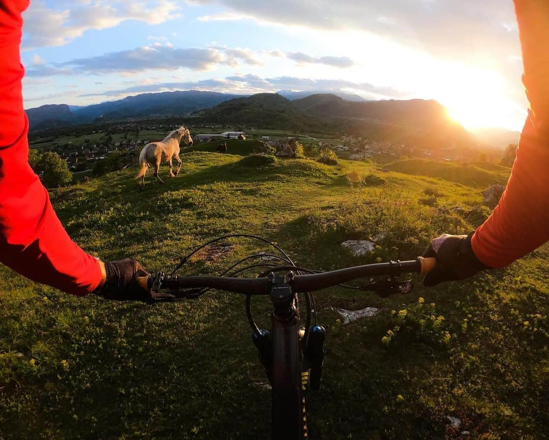 goproさんのインスタグラム写真 - (goproInstagram)「Photo of the Day: Following hoofs in Slovenia with @primozfigaroravnik + #GoProHERO7 Black. • • • #GoProTravel #GoProMTB #GoPro #Slovenia #BikingTrails #AdventureTravel」5月28日 23時20分 - gopro