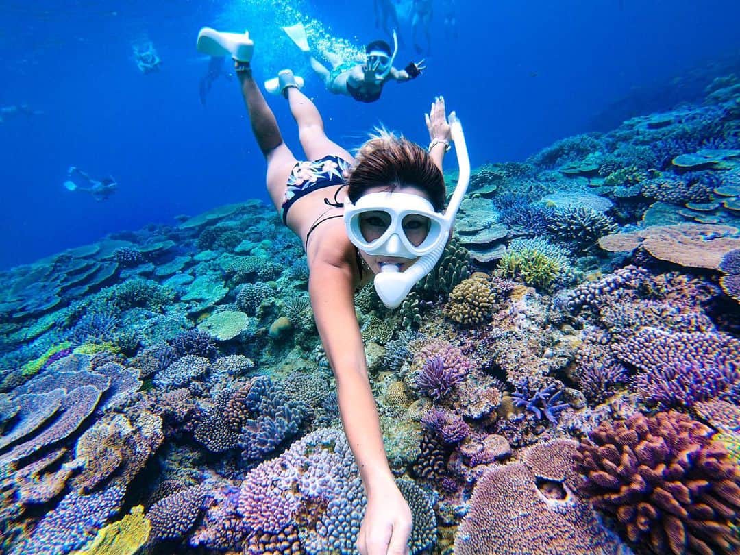 maakoさんのインスタグラム写真 - (maakoInstagram)「Colorful coral 💜💚💙🧡 ・ 約5年ぶり水納島の海は 変わらずイキイキ元気な カラフル珊瑚で めちゃくちゃきれいでした😭🙏🏾🦋💜💜💜 色んな海見たけどここの珊瑚は 本当に綺麗でうっとり🥰 水納島ツアー @asaki_islandlife × #マコ旅 ・ SNORKELINGグッズ🧜🏽‍♀️ @gull_diving1955 マスク #マンティス5  フィン #MEW みんなGULLの白マスク白フィンでお揃い🥰💙💙💙 ・ Snorkeling Shop⛴ @okinawa_island_crew 🧜🏽‍♀️ 珊瑚がきれいな場所はボートシュノーケルで連れて行ってくれます☺️🐠💜💜💜 ・ 📸 #goprohero7  #gull_diving1955 #gull_diving #gull」5月28日 23時21分 - maakomind