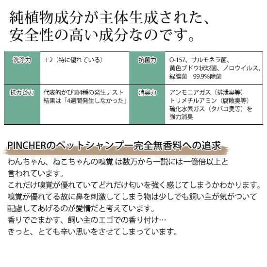 渡部いずみさんのインスタグラム写真 - (渡部いずみInstagram)「ハラミ🐼をPINCHERのPET shampoo&treatmentで洗った🥺💛フサフサ綺麗でいつも以上にカワイイです🐼💛ぶっちゃけペットシャンプー業界の全体のレベルが低すぎて、PINCHERが圧勝だと思っている😆‼️️👍スキンケアブランドがまじでペットシャンプーを開発しました🐼💛🐱開発にあたっては犬や猫の生態を専門家のもと１から勉強‼️犬の嗅覚や味覚を知れば無香料は当たり前、猫の毛づくろいを考えたら食品原料だけでの開発も当たり前😉‼️口のきけない大切な家族だからこそ、こちらが目線を合わせて選んであげないと いくらでも有害はあるということ🌱🤲🏻💛🥺 トリミングサロンで使われているシャンプーが飼い主さんが知らないだけで超微妙なやつだったり、香料すごかったりとかよくあります！サロンさんに持参してくださるほどのファンもいるPINCHERペットシャンプーはプレゼントにも人気です💛  #ハラミ#PET#petshampoo#トリミング#サロン#ペット#dog#cat#PINCHER#ピンシャー#無香料#しつけ#しつけ教室#フリスビー#三原ハラミ#竹内結子  に似ている」5月28日 23時38分 - pincher__izumi