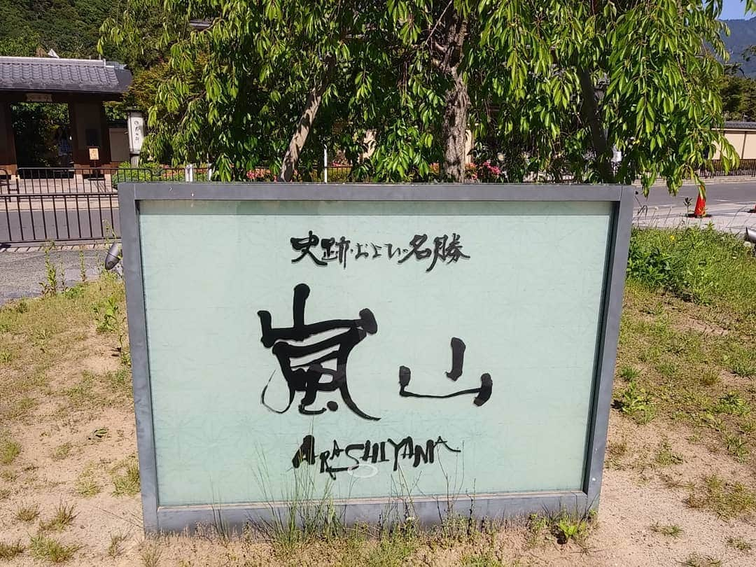 ぢゃいこさんのインスタグラム写真 - (ぢゃいこInstagram)「先日の嵐山遠足。 一人で、思い付いたとこに ふらぁ～っと出掛けるの大好きです。 #嵐山　#遠足 #おひとりさま  #おひとりさま遠足 セルフタイマーで柵にスマホを置いて写真を撮ろうと試みてたところに、中国から一人でご旅行中のお姉さまが撮ってくださり、撮り合いっ子しました📷✨ ありがとうごぢゃいます🐷」5月28日 23時47分 - dyaimeshi