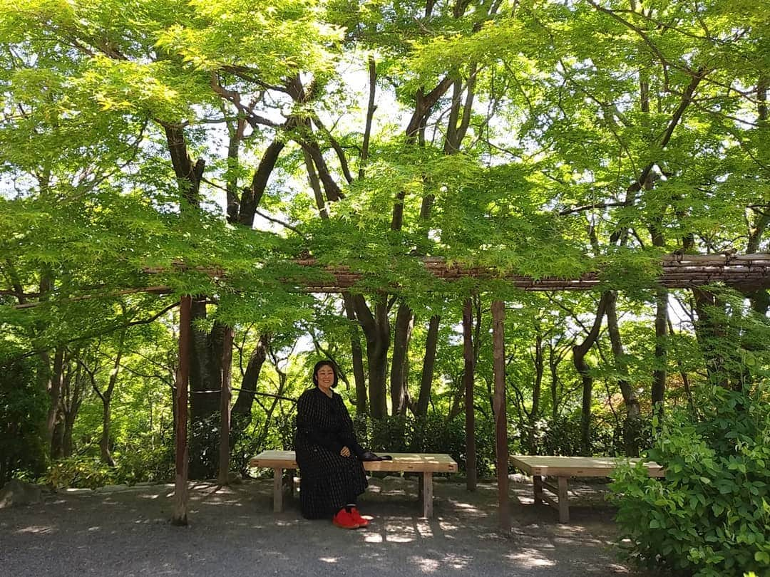 ぢゃいこさんのインスタグラム写真 - (ぢゃいこInstagram)「先日の嵐山遠足。 一人で、思い付いたとこに ふらぁ～っと出掛けるの大好きです。 #嵐山　#遠足 #おひとりさま  #おひとりさま遠足 セルフタイマーで柵にスマホを置いて写真を撮ろうと試みてたところに、中国から一人でご旅行中のお姉さまが撮ってくださり、撮り合いっ子しました📷✨ ありがとうごぢゃいます🐷」5月28日 23時47分 - dyaimeshi