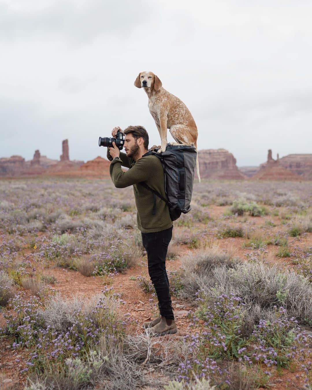 のインスタグラム：「Left snowy Telluride yesterday looking for a bit of warmth, haven’t found it yet but I have a feeling in a week we’ll be complaining about it being too hot! ⁣ ⁣ Mountain film festival was amazing and beautiful. It’s hard not to leave not feeling inspired. My takeaway: arm yourself only with friendship ✨」