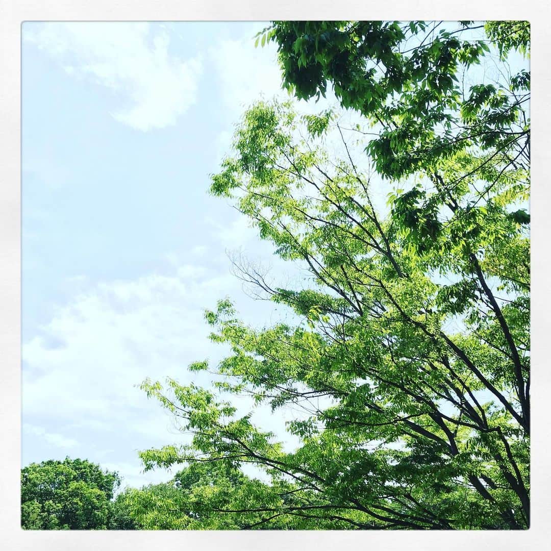 北山陽一さんのインスタグラム写真 - (北山陽一Instagram)「鴨池」5月29日 12時10分 - yohk8