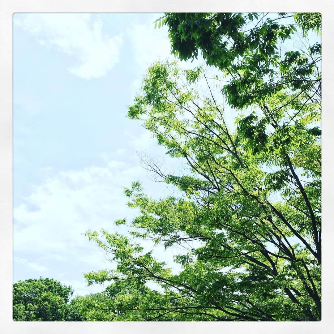 北山陽一のインスタグラム：「鴨池」