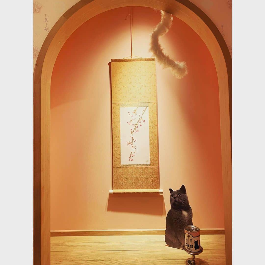 一聖さんのインスタグラム写真 - (一聖Instagram)「Q-pot.の展示会へ﻿ 俺が持ってないといけない最強アイテムを見つけてしまった…﻿ 待ってました！！！感が強くて一目惚れした！﻿ 乞うご期待。﻿ ﻿ ちなみにI'mメルターとは﻿ 昔からお世話になっているQ-pot.のスタッフの方と生み出した謎の造語。﻿笑 メルトリング愛好家ってことだからみんなも使ってね笑﻿ アイムメルタ〜〜〜﻿ ﻿ #qpot#キューポット#qpotcafe#キューポットカフェ#メルトリング#アイムメルター#猫#最強」5月29日 10時43分 - buglug_issei