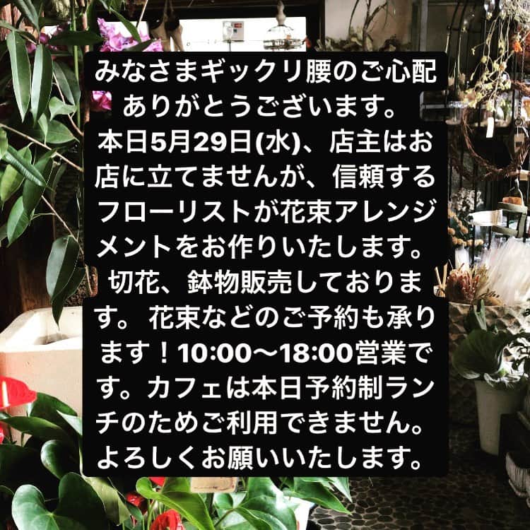 MILLE ECLAT.のグルメインスタ