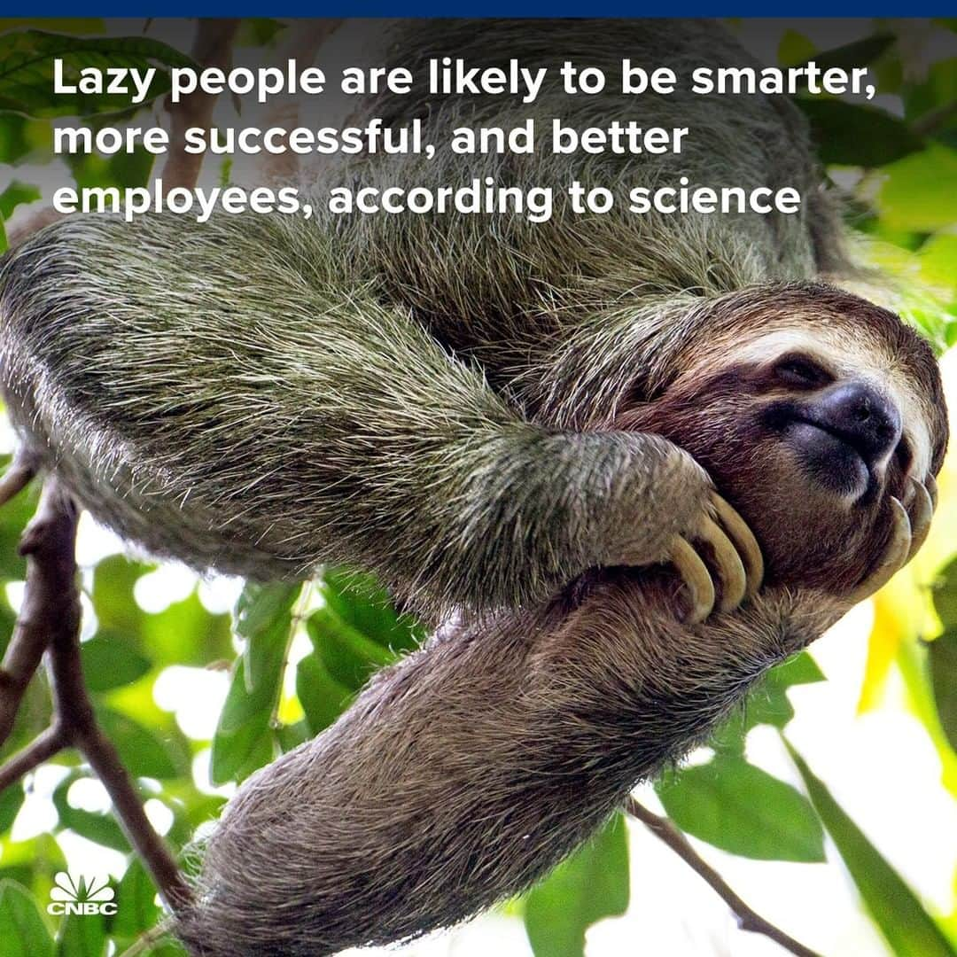 CNBCさんのインスタグラム写真 - (CNBCInstagram)「with @CNBCmakeit: Lazy people get a bad rap, especially when some of the world’s most successful billionaires are perceived as the exact opposite. Fortunately, for all the “lazies” out there, science has discovered evidence that laziness might actually be a sign of intelligence.⁣ ⁣ Part of the problem with laziness may be in how we view the practice. Bill Gates has often been quoted as saying, “I always choose a lazy person to do a hard job, because a lazy person will find an easy way to do it.” Whether Gates even said that in the first place is questionable, but there is some truth to it.⁣ ⁣ Does this sound like you? Or maybe someone you work with?⁣ ⁣ You can read more, at the link in bio.⁣ ⁣ *⁣ *⁣ *⁣ *⁣ *⁣ *⁣ *⁣ *⁣ ⁣ #Laziness #Lazy #Sloth #SlothLife #Work #WorkLife #Employees #Personnel #BillGates #Think #Thinker #Doer #HardWork #Intelligence #NoShortCuts #ShortCuts #CNBC」5月29日 11時00分 - cnbc