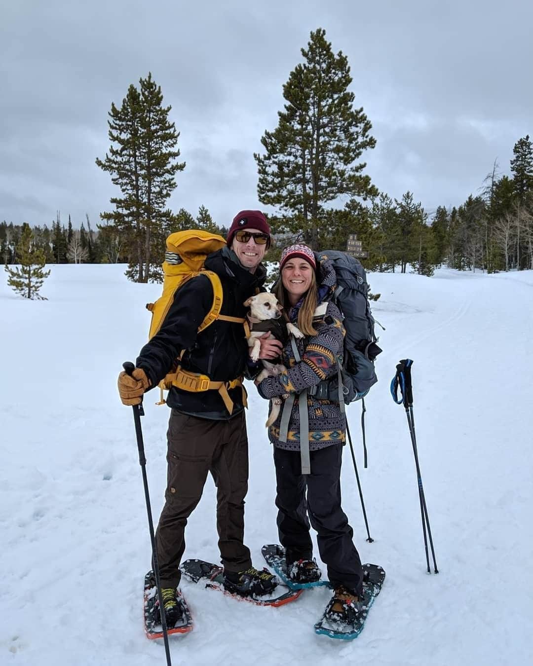 REIさんのインスタグラム写真 - (REIInstagram)「"Quiet snow falling, a warm fire, sipping hot chocolate, sharing meals and stories, puppies sleeping, plenty of Euchre rounds, and nothing but time! Yurt life is the best life!" // @suzelley in Uinta Mountains, #Utah. #OptOutside」5月29日 11時00分 - rei