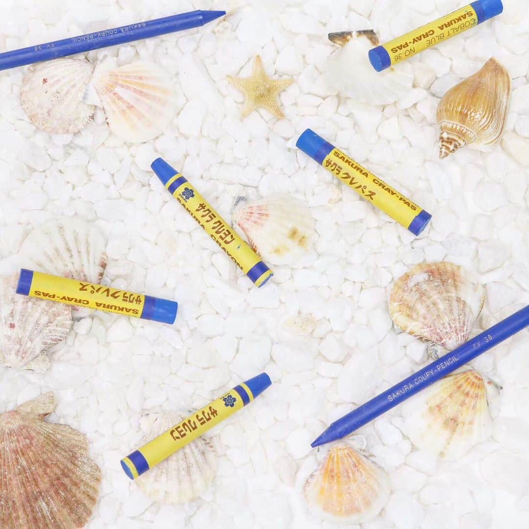 のインスタグラム：「. #クレパス #クレヨン #クーピー #筆記具 #文房具 #文具 #文房具好きな人と繋がりたい #stationery #beach #beachgirl #beachtrip #sea #seashells #shells . #あお #青 #ブルー #サクラクレパス #sakuracraypas #sakura_gram #sakuragrammer」