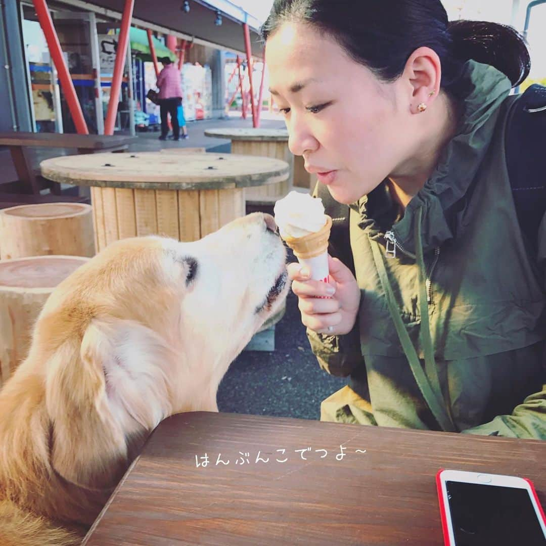 ikumiさんのインスタグラム写真 - (ikumiInstagram)「* * 5/29/2019☀️ . Betty memories photo🌈 . 2017年4月 大好きゆきえちゃんとお出かけ♩ ホントに楽しかったなぁ〜。 @yukieued . . #ベティ祭り ヤバイ、やめられない💦💦 * * #goldenretriever#golden#retriever#instadog#犬バカ部#ふわもこ部#大型犬のいる暮らし#ぴーすっ子#Betty#ベティ#べーちん#お空組#親友#想い出pic#2019年5月」5月29日 11時19分 - ikumi.betty_jupiter