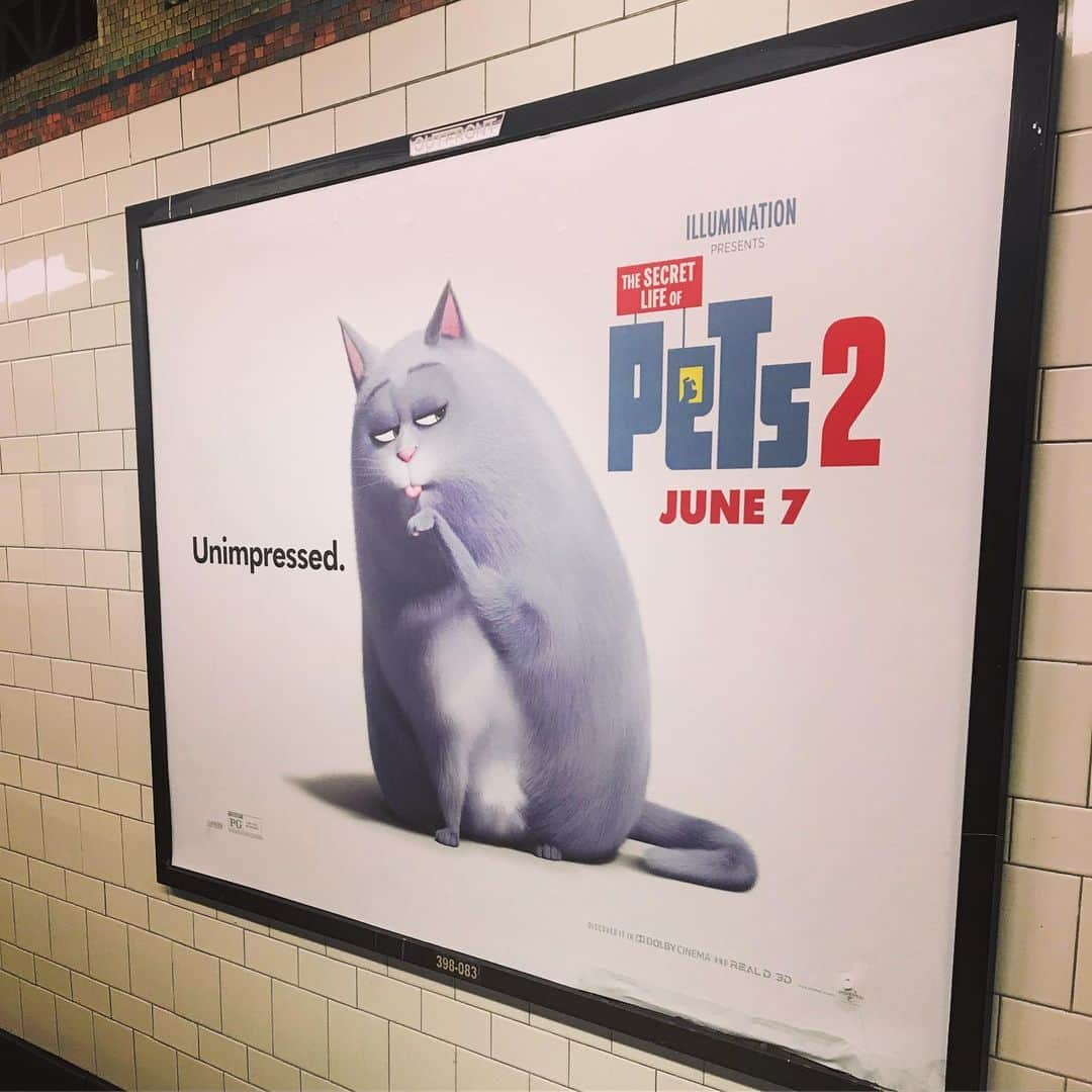 レイク・ベルのインスタグラム：「She’s not impressed but I am! Subways goals right here! @secretlifeofpets IN THEATERS JUNE 7th! ITS A JOY OF A MOVIE, people. Hilarious for parents & good vibes for the kiddos. Super proud! 🐩🐕🐱🐶🐰」
