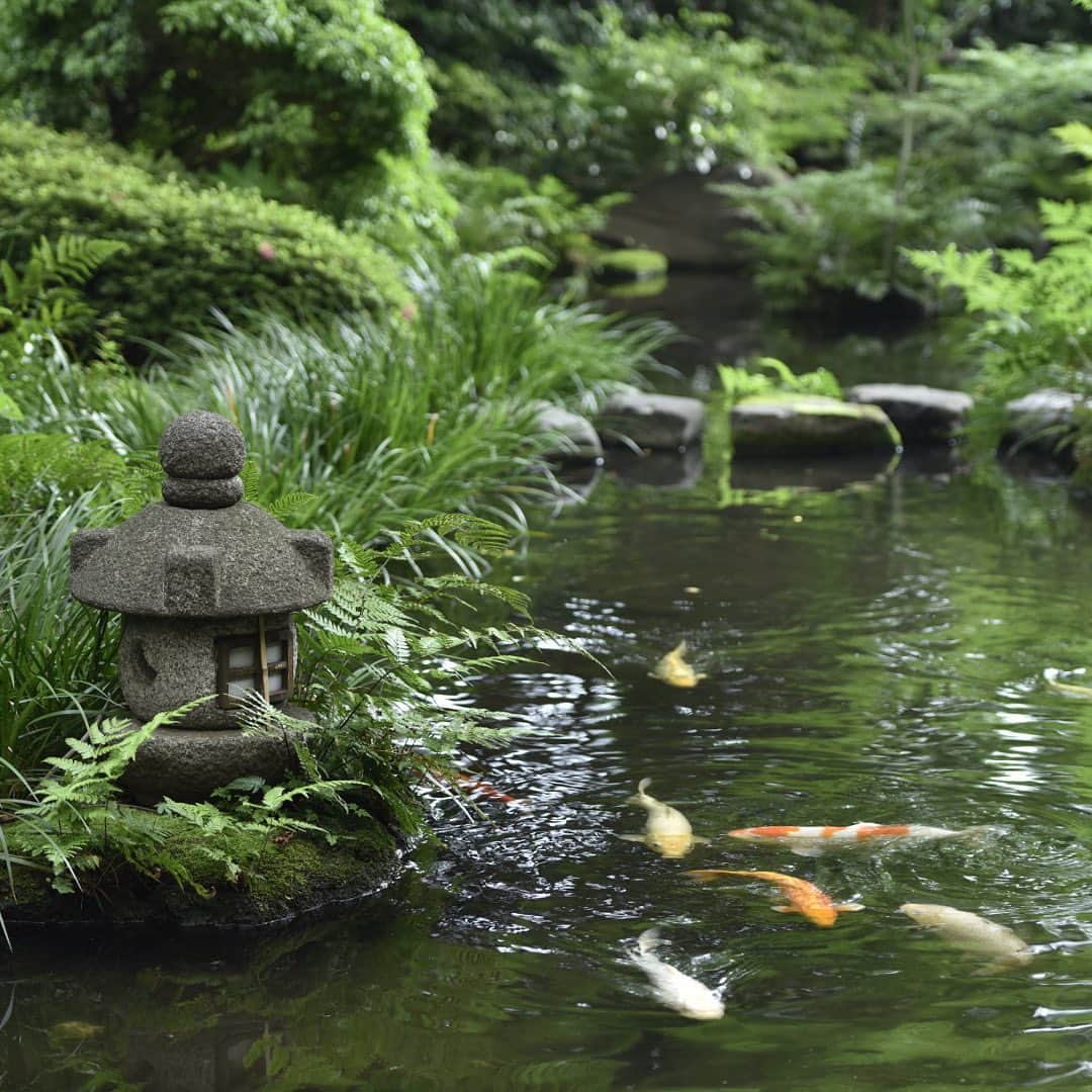 ロイヤルパークホテルさんのインスタグラム写真 - (ロイヤルパークホテルInstagram)「＼非日常の空間で茶道体験🌿／ 日本料理 源氏香の日本庭園には、茶室「耕雲亭」があります。こちらで緑溢れる日本庭園を眺めながら、茶道体験はいかがですか？私服でお気軽に参加できるのも嬉しいポイント♪普段味わうことのできない時間をお過ごしください。詳細はホテルホームページをチェック！ ＼Experience Tea Ceremony in a Unique Setting🌿／ Enjoy authentic tea ceremony at Japanese Restaurant Genjikoh’s traditional tea room. Immersed in a beautiful Japanese garden, the tea room known as "Kohuntei", looks out onto the lush green garden outside. Wear what you like and enjoy this once in a lifetime experience! Check out our website for details. #ロイヤルパークホテル #ロイヤルパーク #ホテル #水天宮 #人形町 #日本橋 #粋な街の意気なおもてなし #日本庭園 #茶道体験 #茶道女子 #茶室 #体験教室 #非日常感 #非日常体験 #お抹茶 #royalparkhotel #royalpark #hotel #ChicTokyoStay #nihonbashi #tokyo #ilovejapan #tokyotrip #tokyotravel #japaneseteagarden #japaneseteaceremony #teaceremonylesson #matcha #greentea #trialclass」5月29日 12時00分 - royalparkhotel.tokyo