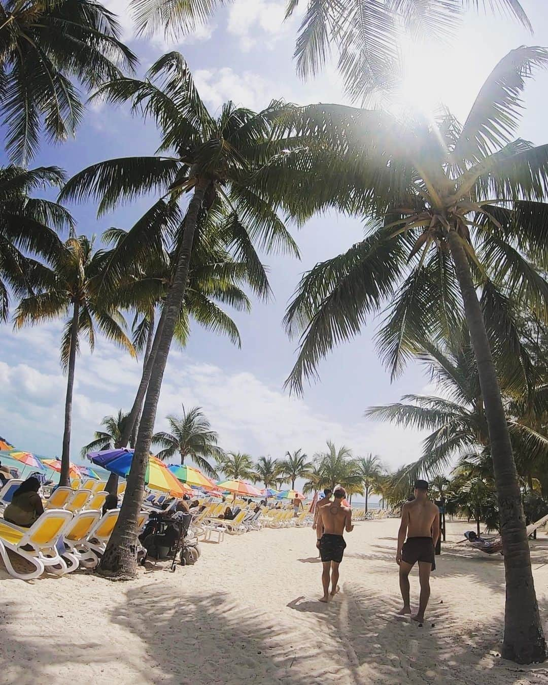 ティモシー・ドレンスキーさんのインスタグラム写真 - (ティモシー・ドレンスキーInstagram)「Palm trees + umbrellas + sunshine + friends + spike ball = a perfect day in Coco Cay @alixdemi @_carlottamarie @garrettgosselin @andregrigorev #symphonyoftheseas」5月29日 3時07分 - timtastic92