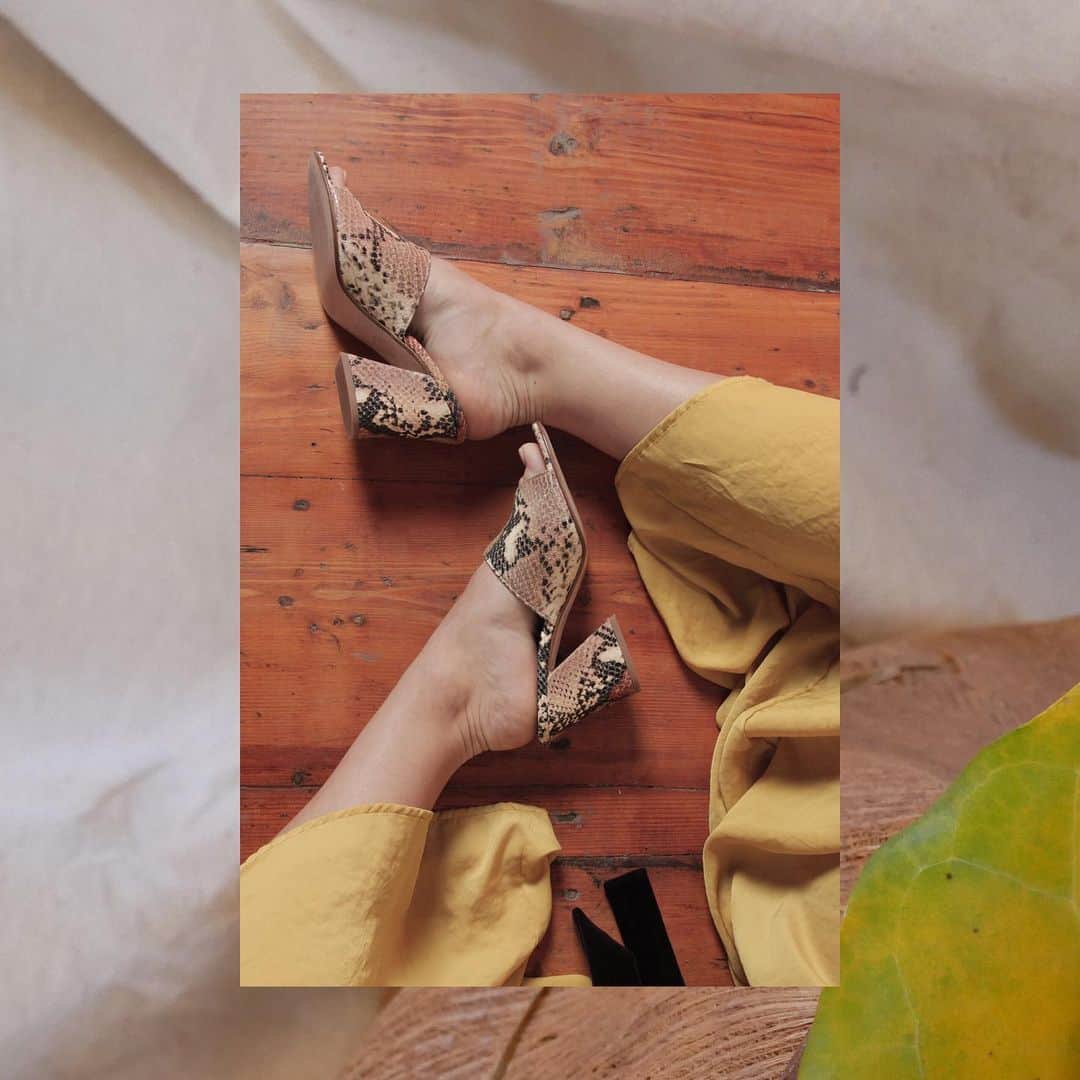 ジャンカルロパオリさんのインスタグラム写真 - (ジャンカルロパオリInstagram)「SS19 // 🌟  #GiancarloPaoli #Mood #Girl #Design #Shoes」5月29日 3時26分 - giancarlopaoli