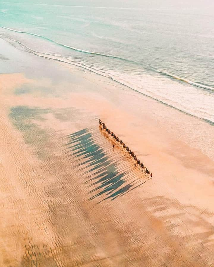 Australiaさんのインスタグラム写真 - (AustraliaInstagram)「Happy hump day from @portstephens 🐪 @beatrizazzevedo captured this picturesque scene of a leisurely #camel ride along #BirubiBeach on her recent trip, and calls #AnnaBay “one of the biggest hidden gems on #Australia’s mainland.” This @visitnsw coastal town is located three hours from @sydney and is one of the few places you can enjoy a guided tour along the beach from the back of a #camel. TIP: Go for the sunset ride option when you book a tour with @oakfieldranchcamels, it’ll make the whole experience extra special. 😉  #seeaustralia #newsouthwales #PortStephens  #wildlifephotography #thegreatoutdoors #travel」5月29日 4時00分 - australia