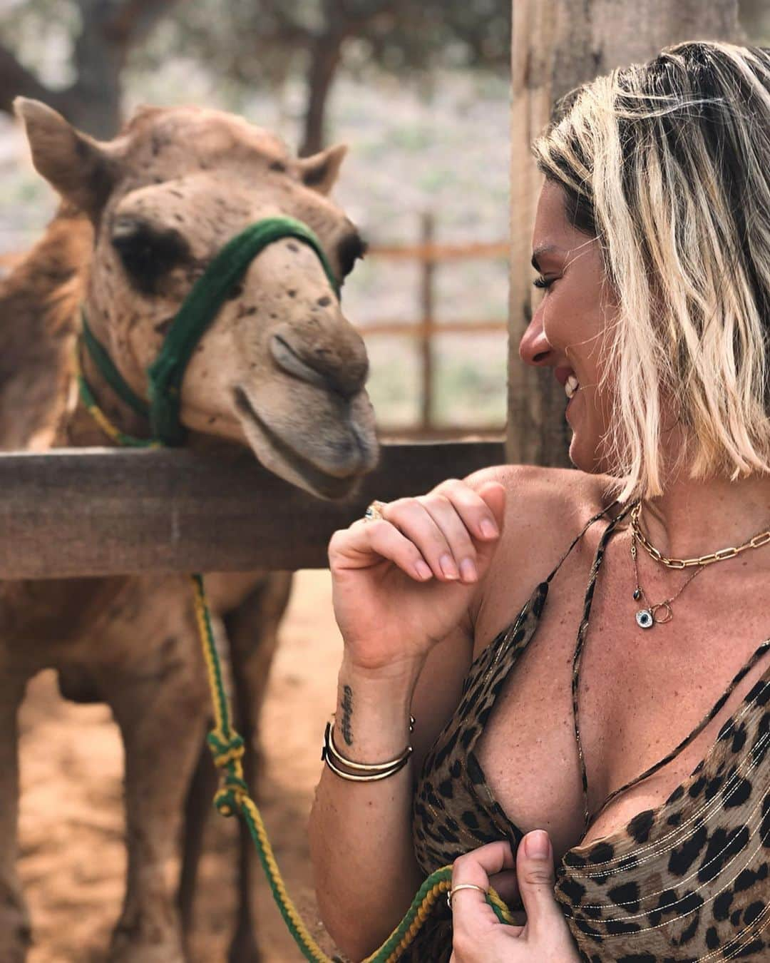 Giovanna Ewbankさんのインスタグラム写真 - (Giovanna EwbankInstagram)「Um caso de amor...MUITO AMOR!!! Dia de beijar, abraçar, alimentar, dar banho e morrer de amor por esses animais maravilhosos...eu to muito apaixonada REAL!!!! A natureza eh linda demais!!! 💗🐪💗🐪💗🐪💗」5月29日 4時32分 - gioewbank