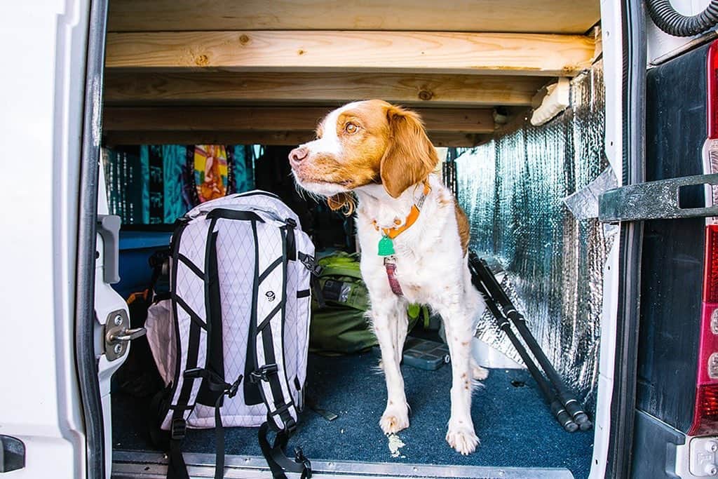 マウンテンハードウェアのインスタグラム：「Ruffing it. 📷: @kylie.fly.」