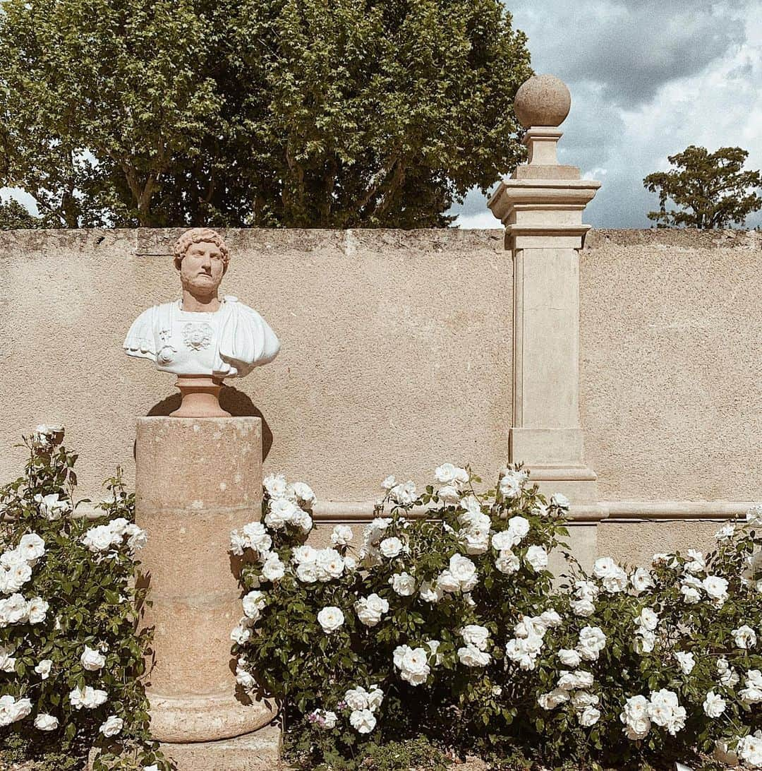 三浦大地さんのインスタグラム写真 - (三浦大地Instagram)「#provence #france #chateau #chateaudefonscolombe」5月29日 5時35分 - daichi_1127