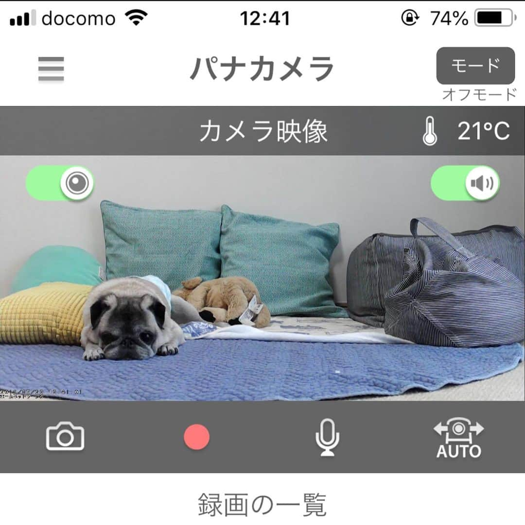 八兵衛さんのインスタグラム写真 - (八兵衛Instagram)「パナソニックHDペットカメラを 使わせていただいています🐶 * * HDペットカメラの特徴は 💠カメラの画質が200万画素で綺麗✨ * 💠温度センサーが付いていて、 設定した温度を越えると通知が来ます。 これからの暑い夏に安心☀️😊 * 💠360度追尾してくれます🐕 いろんなところで休むコもカメラで 探せて安心☺️ * * * ちょうど今の時期 室温とエアコンをつけるかつけまいか、と悩みどころだったので温度センサーがついているって非常にありがたい‼️ * * ①コンパクトで置き場所に困らないサイズ。 中央に動作検知センサー、上部の小さな丸部分(左右に各一個)に赤外線センサー、2種類のセンサーでペットの動きを検出した方向にカメラが自動的に向くよ👍 ②(スマホでスクショ)スマホ画面で 温度チェックできるよ。おもちゃで遊ぶべえさん。 ③ペットカメラで撮影もできるよ。画質綺麗です✨ ④(スマホでスクショ)休憩べえさん。 ⑤(スマホでスクショ)時間経ち移動したようで追尾機能でカメラの向き少し変わってます。室温大丈夫☺️ ⑥(スマホの画面収録)外出先から手動でアップにして見たり、カメラの向きを変えて探すこともできるよ👀 * * 飼い主の都合でスマホでのスクショ、動画収録を使って紹介していますが、ペットカメラでの撮影画像や動画の方が綺麗です(笑) * * 数日使っての感想は とにかく使いやすい。反応も良いし、 べえさんは大移動するので360度(!!)探して姿を確認できるのは安心☺️ * * おじいちゃんで、エアコンつけると身体が冷えすぎてしまって、なかなか難しい時期なのですが😅 留守中の室温変化を把握して、帰宅時のべえさんの身体の冷え具合(or温まり具合)をチェックして、エアコンの設定の参考にできることも助かっています👌(寝ている場所を外出先からチェックできるので、べえさんの暑い寒いも分かります) * * 機械モノは苦手だったけど こんな便利なものがあるのねぇ！👵🏻😆💓 * * #パナソニック #panasonic #HDペットカメラ #カメラで温度見守り #カメラで熱中症予防 * * #ほぼ黒パグ #おじいちゃん犬 #パグ #pug #puggy #puglife #puglove #petstagram #pugstagram #pugsofinstagram #pugs #dog #ふわもこ部  @igersjp #IGersJP #east_dog_japan #pecoイヌ部 #八兵衛 #はちべえ #朝ワンコ夕ニャンコ」5月29日 12時21分 - huxxi