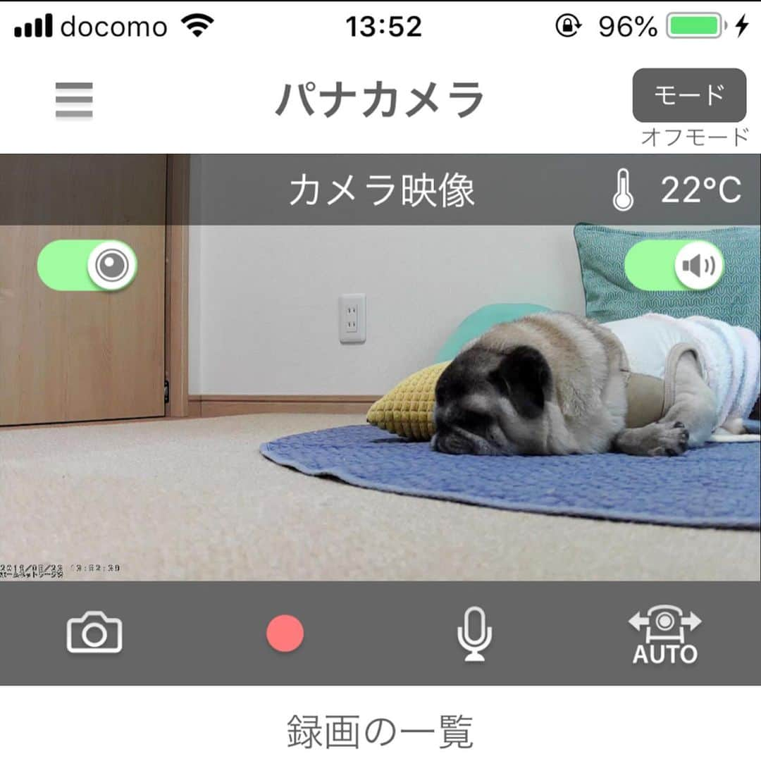 八兵衛さんのインスタグラム写真 - (八兵衛Instagram)「パナソニックHDペットカメラを 使わせていただいています🐶 * * HDペットカメラの特徴は 💠カメラの画質が200万画素で綺麗✨ * 💠温度センサーが付いていて、 設定した温度を越えると通知が来ます。 これからの暑い夏に安心☀️😊 * 💠360度追尾してくれます🐕 いろんなところで休むコもカメラで 探せて安心☺️ * * * ちょうど今の時期 室温とエアコンをつけるかつけまいか、と悩みどころだったので温度センサーがついているって非常にありがたい‼️ * * ①コンパクトで置き場所に困らないサイズ。 中央に動作検知センサー、上部の小さな丸部分(左右に各一個)に赤外線センサー、2種類のセンサーでペットの動きを検出した方向にカメラが自動的に向くよ👍 ②(スマホでスクショ)スマホ画面で 温度チェックできるよ。おもちゃで遊ぶべえさん。 ③ペットカメラで撮影もできるよ。画質綺麗です✨ ④(スマホでスクショ)休憩べえさん。 ⑤(スマホでスクショ)時間経ち移動したようで追尾機能でカメラの向き少し変わってます。室温大丈夫☺️ ⑥(スマホの画面収録)外出先から手動でアップにして見たり、カメラの向きを変えて探すこともできるよ👀 * * 飼い主の都合でスマホでのスクショ、動画収録を使って紹介していますが、ペットカメラでの撮影画像や動画の方が綺麗です(笑) * * 数日使っての感想は とにかく使いやすい。反応も良いし、 べえさんは大移動するので360度(!!)探して姿を確認できるのは安心☺️ * * おじいちゃんで、エアコンつけると身体が冷えすぎてしまって、なかなか難しい時期なのですが😅 留守中の室温変化を把握して、帰宅時のべえさんの身体の冷え具合(or温まり具合)をチェックして、エアコンの設定の参考にできることも助かっています👌(寝ている場所を外出先からチェックできるので、べえさんの暑い寒いも分かります) * * 機械モノは苦手だったけど こんな便利なものがあるのねぇ！👵🏻😆💓 * * #パナソニック #panasonic #HDペットカメラ #カメラで温度見守り #カメラで熱中症予防 * * #ほぼ黒パグ #おじいちゃん犬 #パグ #pug #puggy #puglife #puglove #petstagram #pugstagram #pugsofinstagram #pugs #dog #ふわもこ部  @igersjp #IGersJP #east_dog_japan #pecoイヌ部 #八兵衛 #はちべえ #朝ワンコ夕ニャンコ」5月29日 12時21分 - huxxi