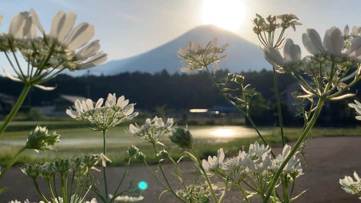 phantastic420のインスタグラム：「. 🤩🤩“Shizuoka” prefecture in Japan is a place where you can see the most “phantastic” Mt. Fuji🗻 in the world.🤩 #富士山 #mtfuji #japan #shizuoka #fujinomiya  #phantastic420photography #mostphantasticmtfuji #selamatpagi  #goodmorning  #おはようございます 😇😇😇😇😇😇😇🗻😇😇 雨は上がってますが🗻雲中です」