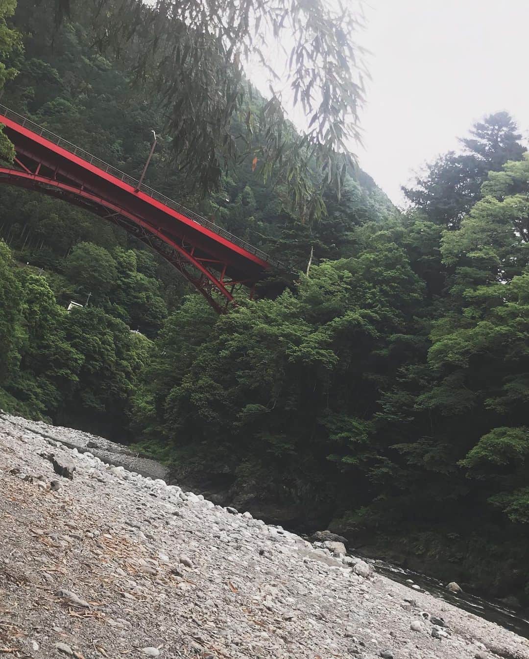 柏木作夢さんのインスタグラム写真 - (柏木作夢Instagram)「奥多摩  たまに行きたくなる場所。  昨日は撮影だったけど、今度はゆっくりオフで堪能したい⛳️ #奥多摩 #river #mountain #green #tokyo #nature #spot」5月29日 7時27分 - samukashiwagi