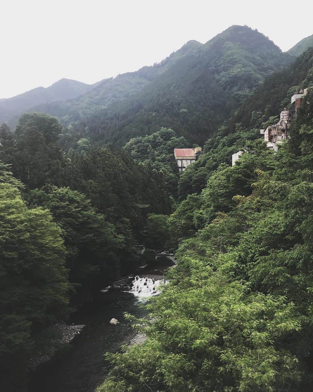 柏木作夢さんのインスタグラム写真 - (柏木作夢Instagram)「奥多摩  たまに行きたくなる場所。  昨日は撮影だったけど、今度はゆっくりオフで堪能したい⛳️ #奥多摩 #river #mountain #green #tokyo #nature #spot」5月29日 7時27分 - samukashiwagi