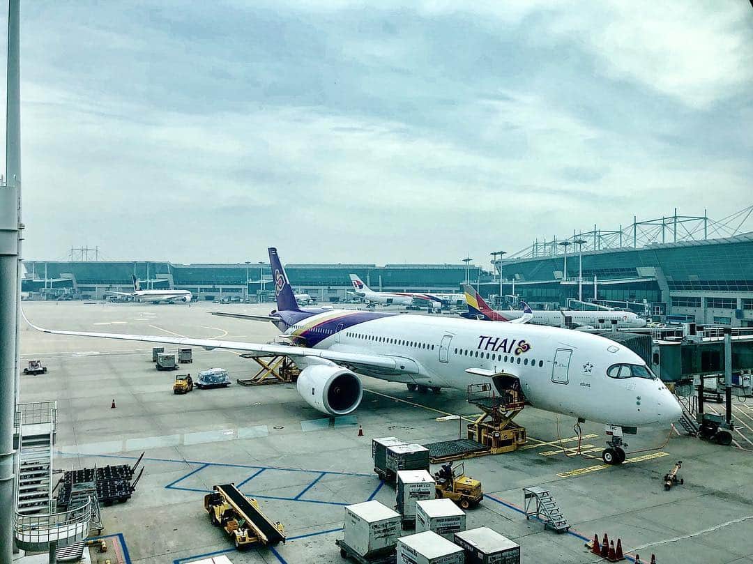 イユエリンのインスタグラム：「아름답게 마무리했쒀~👐🏻 #타이항공 #thaiairwayskorea @thaiairways」