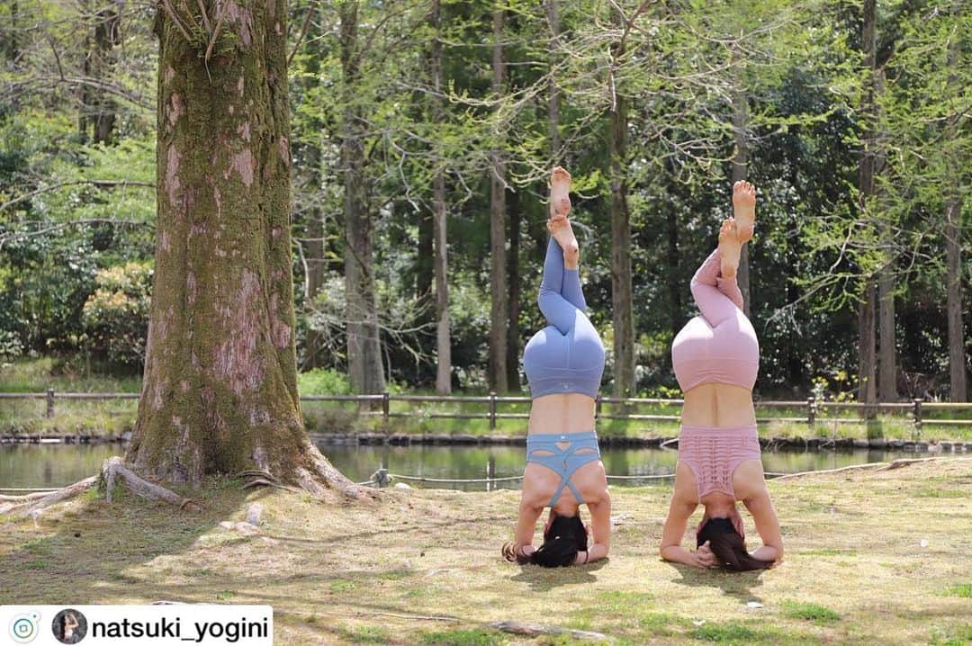 ヨガジャーナルオンラインさんのインスタグラム写真 - (ヨガジャーナルオンラインInstagram)「こんにちは😊✨ ヨガジャーナルオンラインの記事でもインスタで見つけた素敵なヨギたちをご紹介‼️💕🌿 . ヨギのみなさんの素敵なアーサナ写真を「#ヨガジョ 」で募集いたします✨ 皆さんのお写真お待ちしております☺️💕 . . yoga life 🧘🏼‍♀️ ・ ・ ・ 素敵な出逢いに感謝✨ たくさんの刺激を受けました💕 ・ ・ ・ ・ ・ ・ Photo by Miki @sweetpea_miki  W/ @aya_miyoga ・ ・ ・ ・ ・ 来週のスケジュール🗓  22日(月) 10:00〜ハタヨガ 11:30〜ヒーリングヨガ @yoga101lesson 📍上新庄駅より徒歩2分  15:00〜岩盤ヨガ @e_stonespa 📍鶴橋駅より徒歩5分  23日(火) 10:30〜代謝アップフローヨガ 12:00〜ヒーリングヨガ @littlegemyoga 📍本町駅より徒歩3分  24日(水) 10:00〜ハタフロー 11:30〜ヒーリングヨガ @yoga101lesson 📍上新庄駅より徒歩2分  25日(木) 15:00〜岩盤ヨガ @e_stonespa 📍鶴橋駅より徒歩5分  26日(金) 12:00〜ボディメイクヨガ @yoga101lesson 📍上新庄駅より徒歩2分 ・ ご予約、お問い合わせは各スタジオHPから又はDMお願い致します📩 ・ ・ ・ ・ ・ . #ヨガ #yoga #ヨガジャーナル #yogajournal #yogajournal_japan #yogajournalonline #ホットヨガ #yogi #ダイエット #ヨギーニ #ヨガジョ #ヨガスタグラム #ヨガ女子 #朝ヨガ #ヨガウェア #おうちヨガ #アーサナ #ヨガ好きな人と繋がりたい　#ヨガインストラクター #ヨガのある生活 #ヨガライフ #yogapose #yogapractice #yogalove」5月29日 8時09分 - yogajournalonline