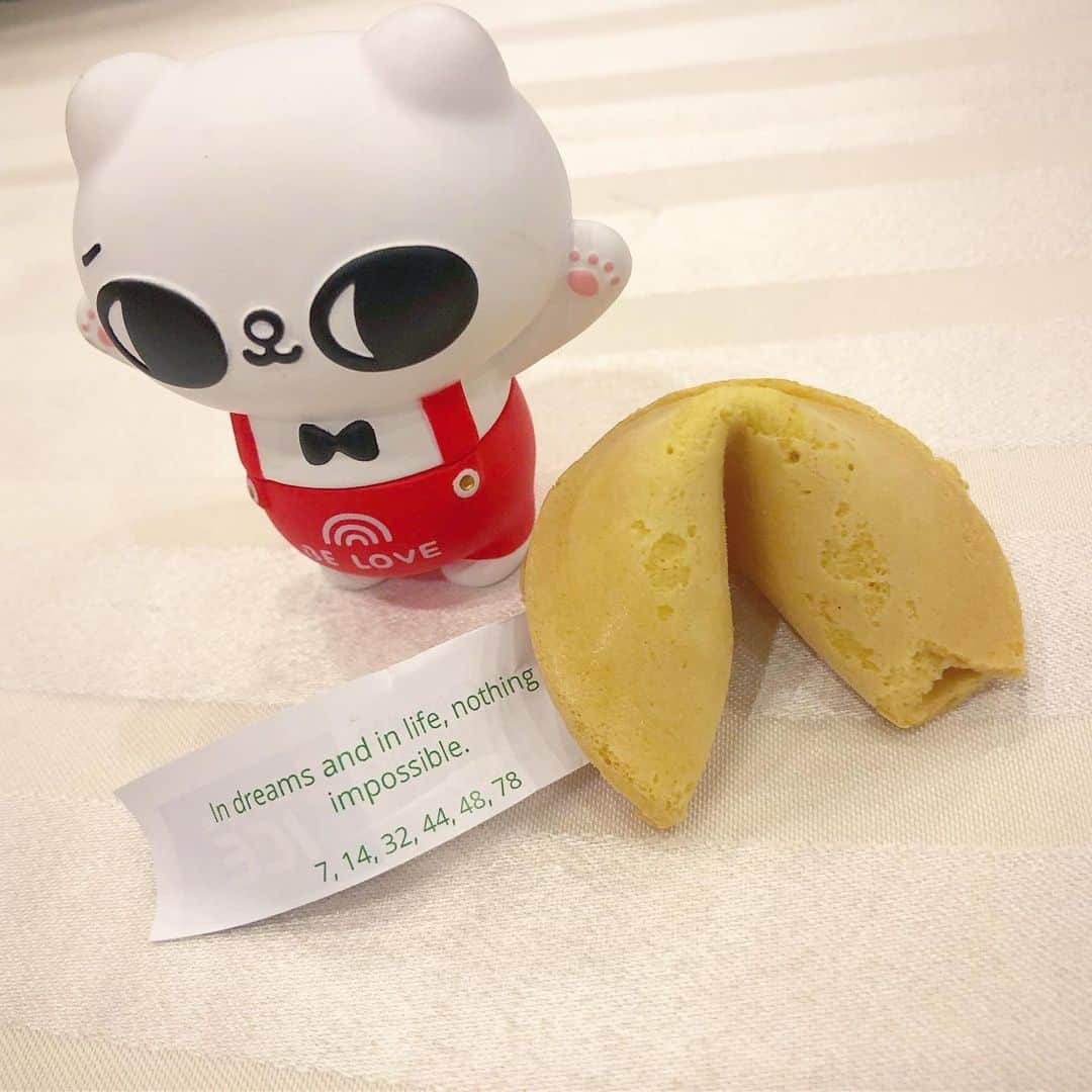 爽爽貓 by SECONDさんのインスタグラム写真 - (爽爽貓 by SECONDInstagram)「抽到的幸運餅乾🍪 . #fortunecookie #爽爽貓 #SONGSONGMEOW #ソウソウネコ #bySECOND #wuchengan」5月29日 9時10分 - wuchengan