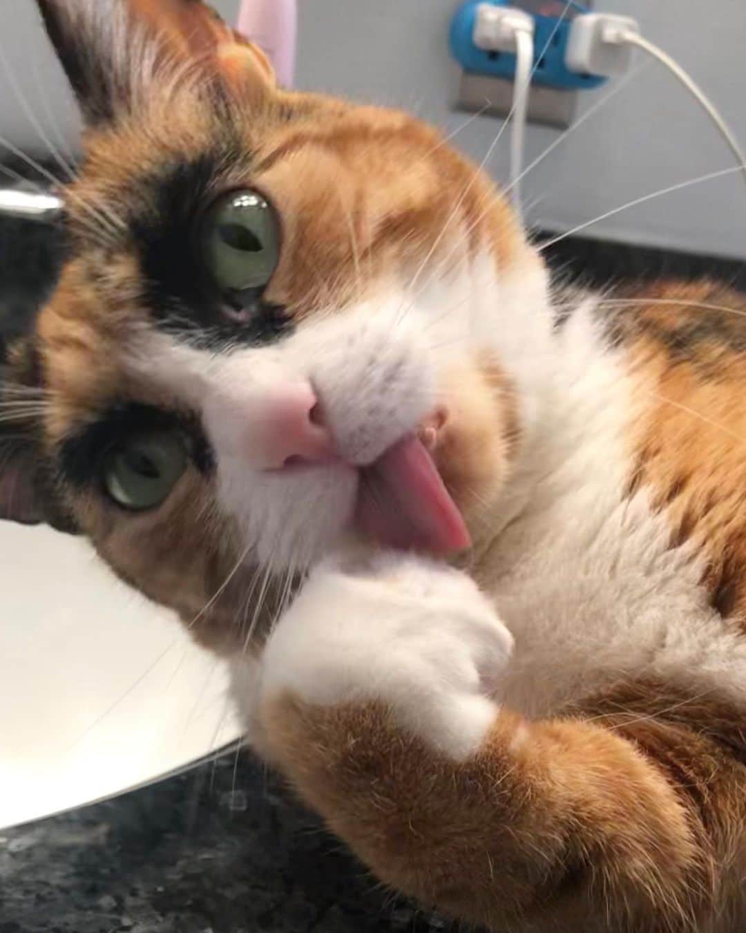 リリーのインスタグラム：「Is this enough tongue for tongue out Tuesday?👅 #tot」