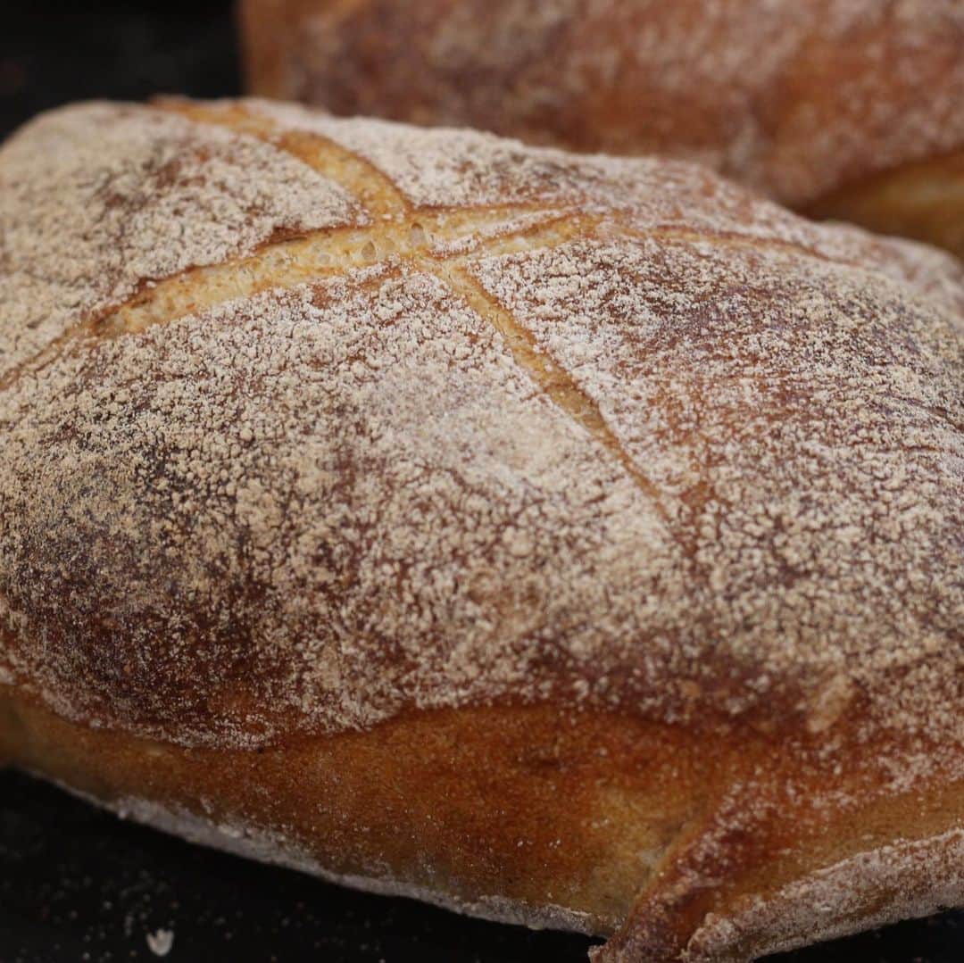 魔女菅原のグルメインスタ