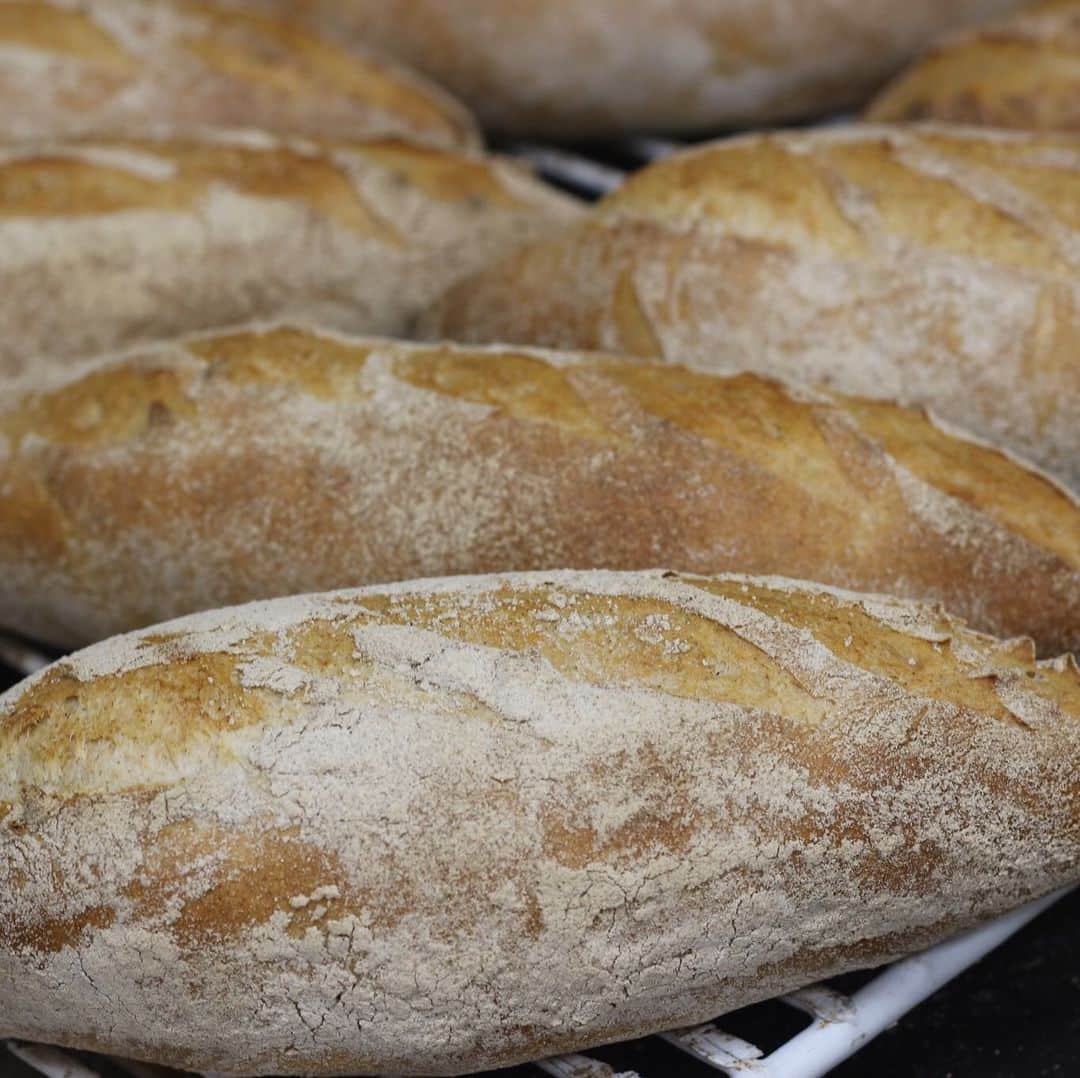 魔女菅原のグルメインスタ