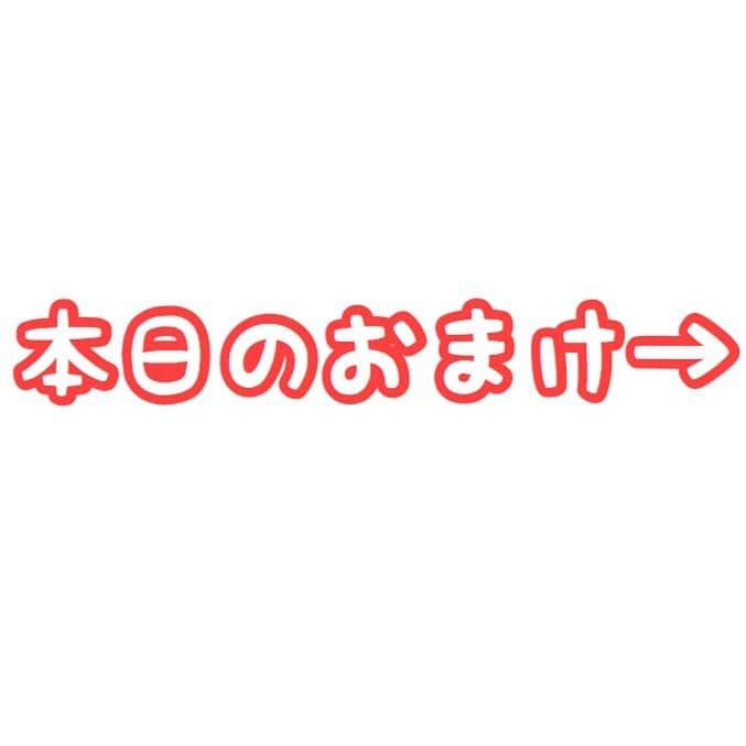 セロリさんのインスタグラム写真 - (セロリInstagram)「【お猿さん〜後編〜】 前編からの続きです。 どうぞお納めください。 これからの熱い夏、笑って乗りこえましょう。 ※おまけはお猿さんとの出会い #maltese #マルチーズ #お猿さん #malteseofinstagram #maltese101 #malteser #malteseofficial #maltesedog #dog #instadog #dogstagram #dogoftheday #doglovers #instapet #adorable #ilovemydog  #ペット #わんこ #ふわもこ部 #犬のいる暮らし #いぬら部  #いぬすたぐらむ」5月29日 10時30分 - celeryrabbit