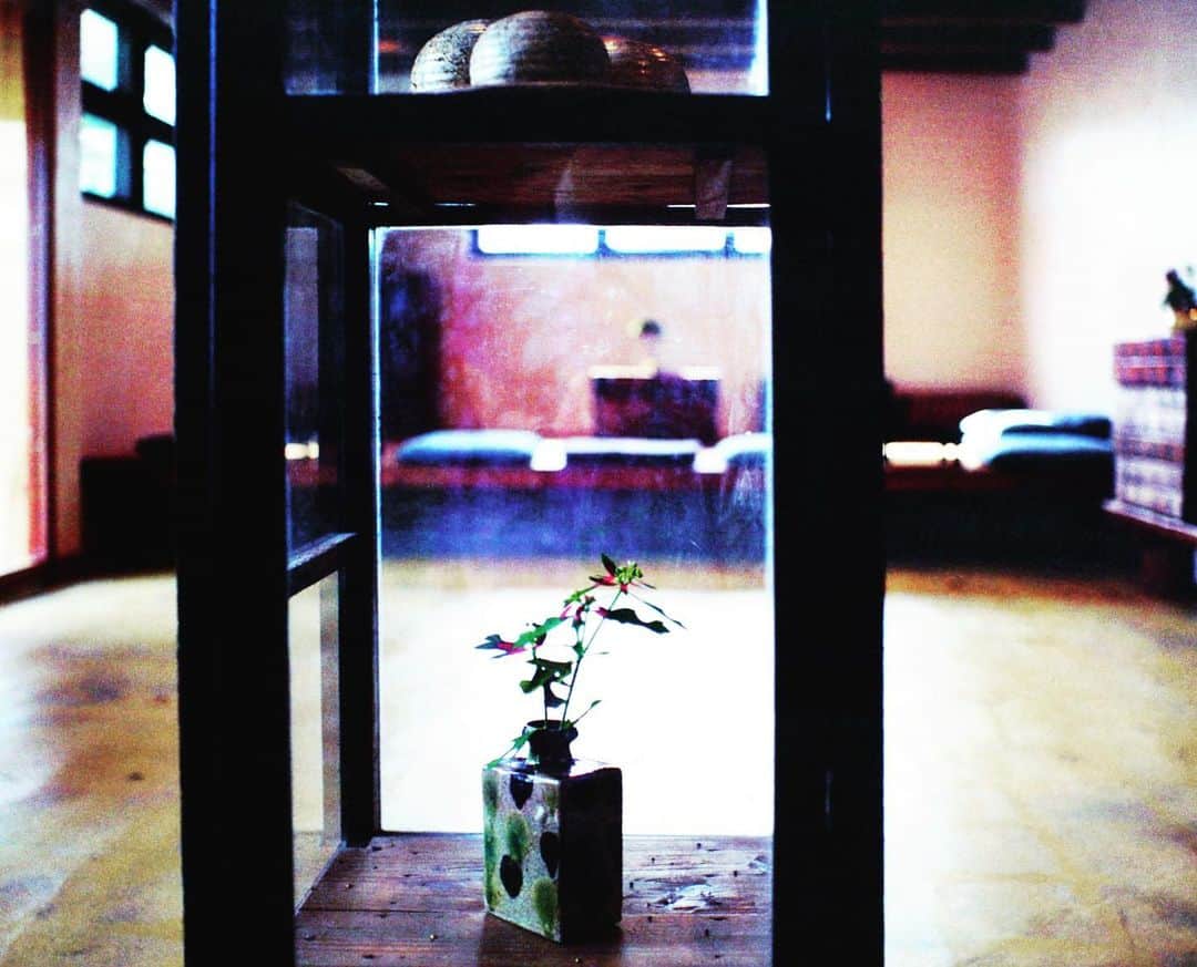 ゆうゆのグルメインスタ