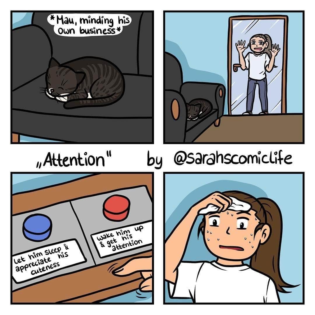 9GAGさんのインスタグラム写真 - (9GAGInstagram)「Me: *smashes blue button*⠀ By @sarahscomiclife⠀ -⠀ #comic #cat」5月29日 20時00分 - 9gag