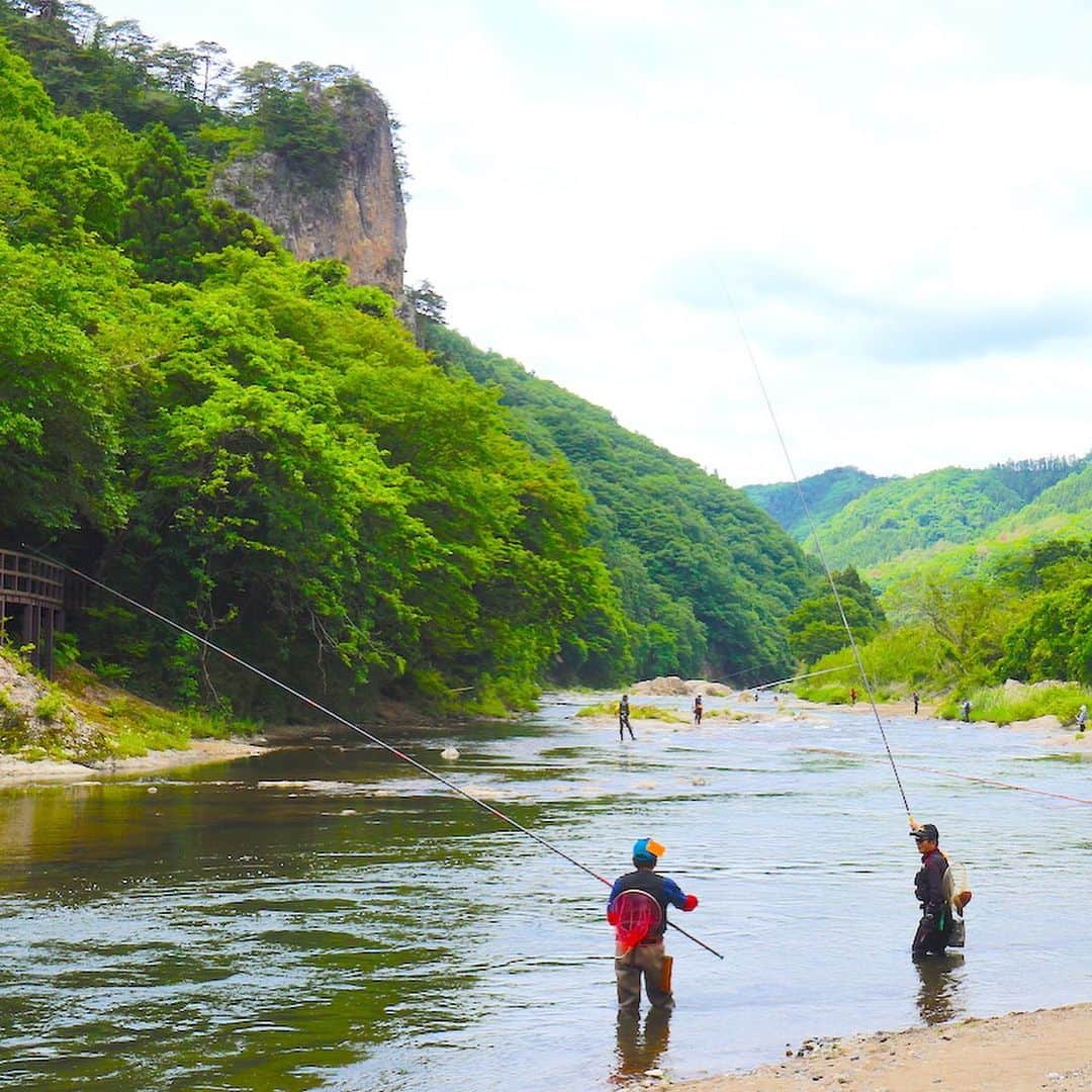 のインスタグラム：「来て！ 久慈川の鮎釣り　 矢祭町を流れる久慈川は鮎釣りのメッカとして知られています。毎年６月の第１日曜日に東北地方のトップを切って鮎漁が解禁になると多くの釣り人で賑わいます。水がきれいで良い苔ができるので久慈川の鮎は型もよく美味と言われています。 #矢祭町 #鮎 #久慈川 #福島 #ふくしま #ふくしまからはじめよう #来て  #futurefromfukushima #fukushima #art_of_japan #instagramjapan #japan_of_insta #fukushimatrip #insta_fukushima #special_trip #traveljapan #japantrip」